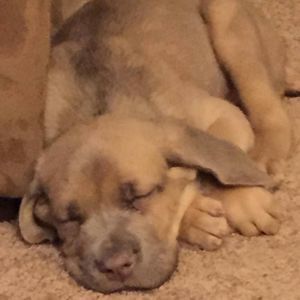 Meet your Posher, Clarence